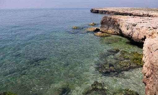 جزیره فرور کوچک